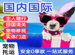 沈阳航空托运国际宠物托运 【国